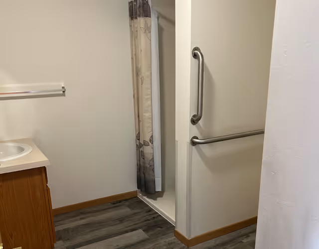Senior living bathroom with sink, vanity, shower curtain, and safety grab bars on the wall.