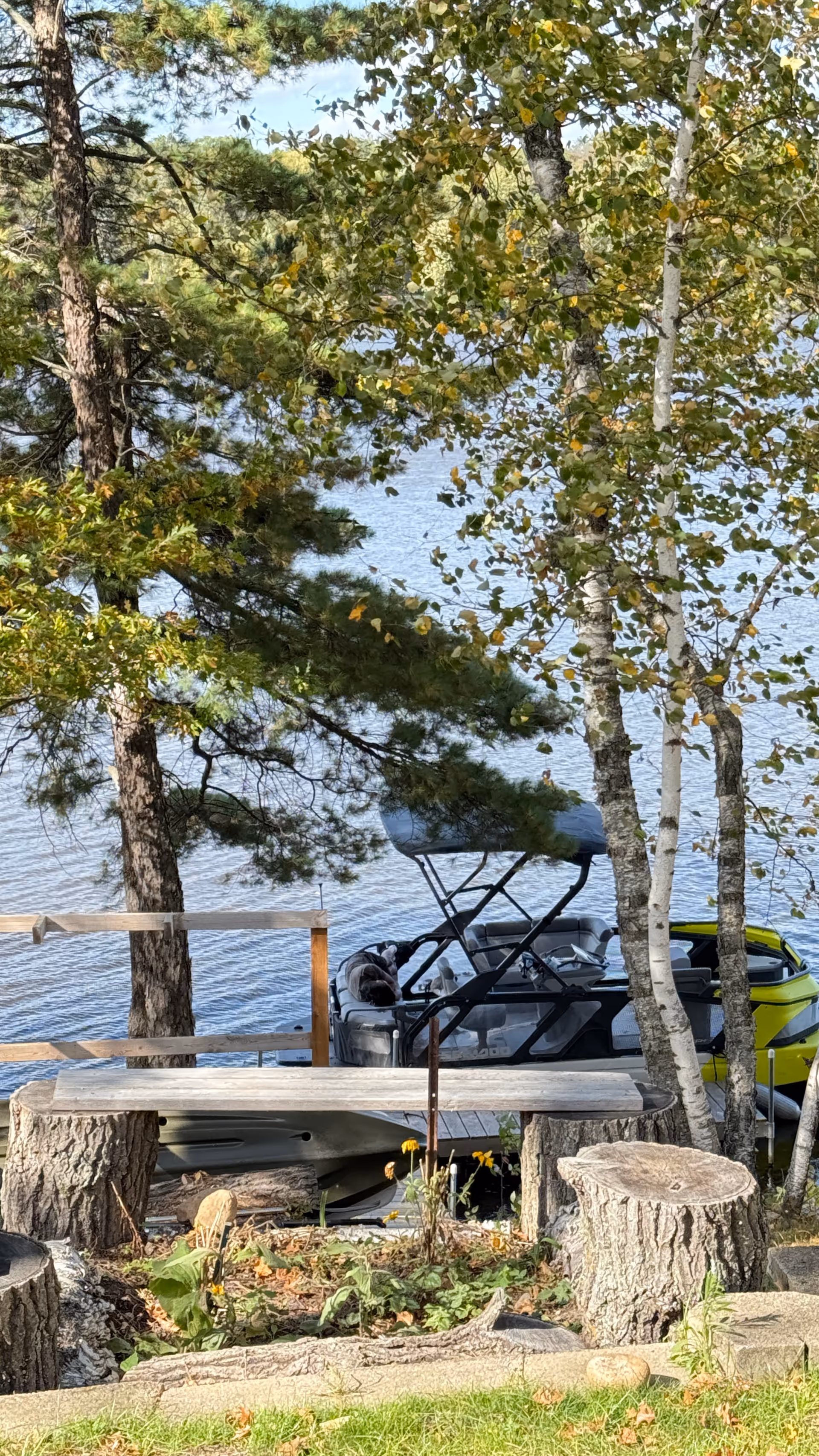 Outdoor lakeside area with trees, water, and a boat by a dock.