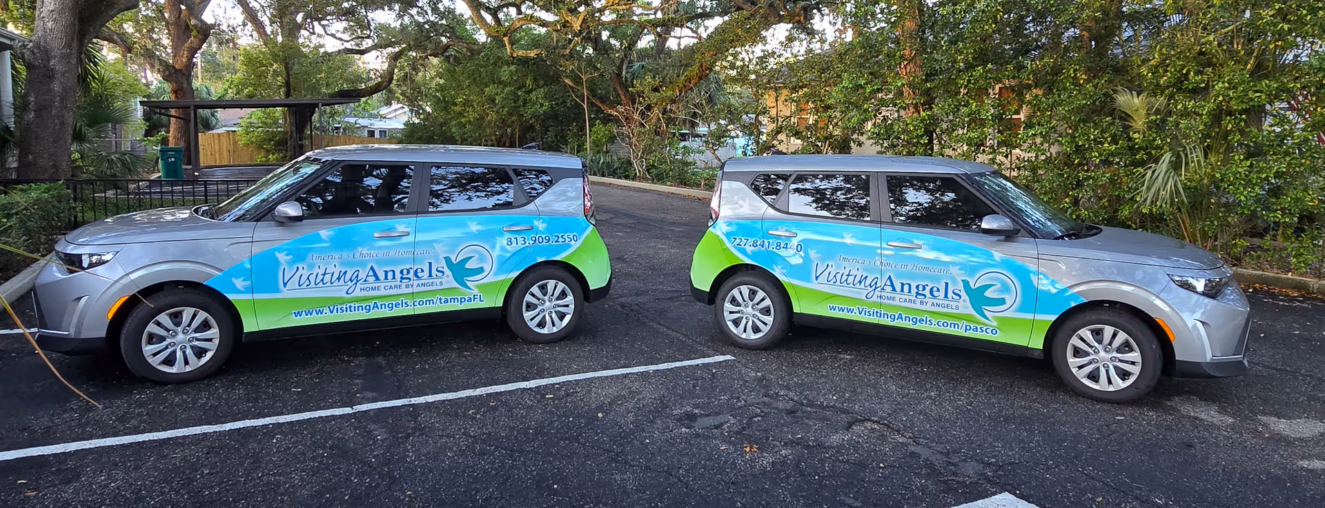 Two Visiting Angels branded cars parked in a lot with trees and greenery in the background.