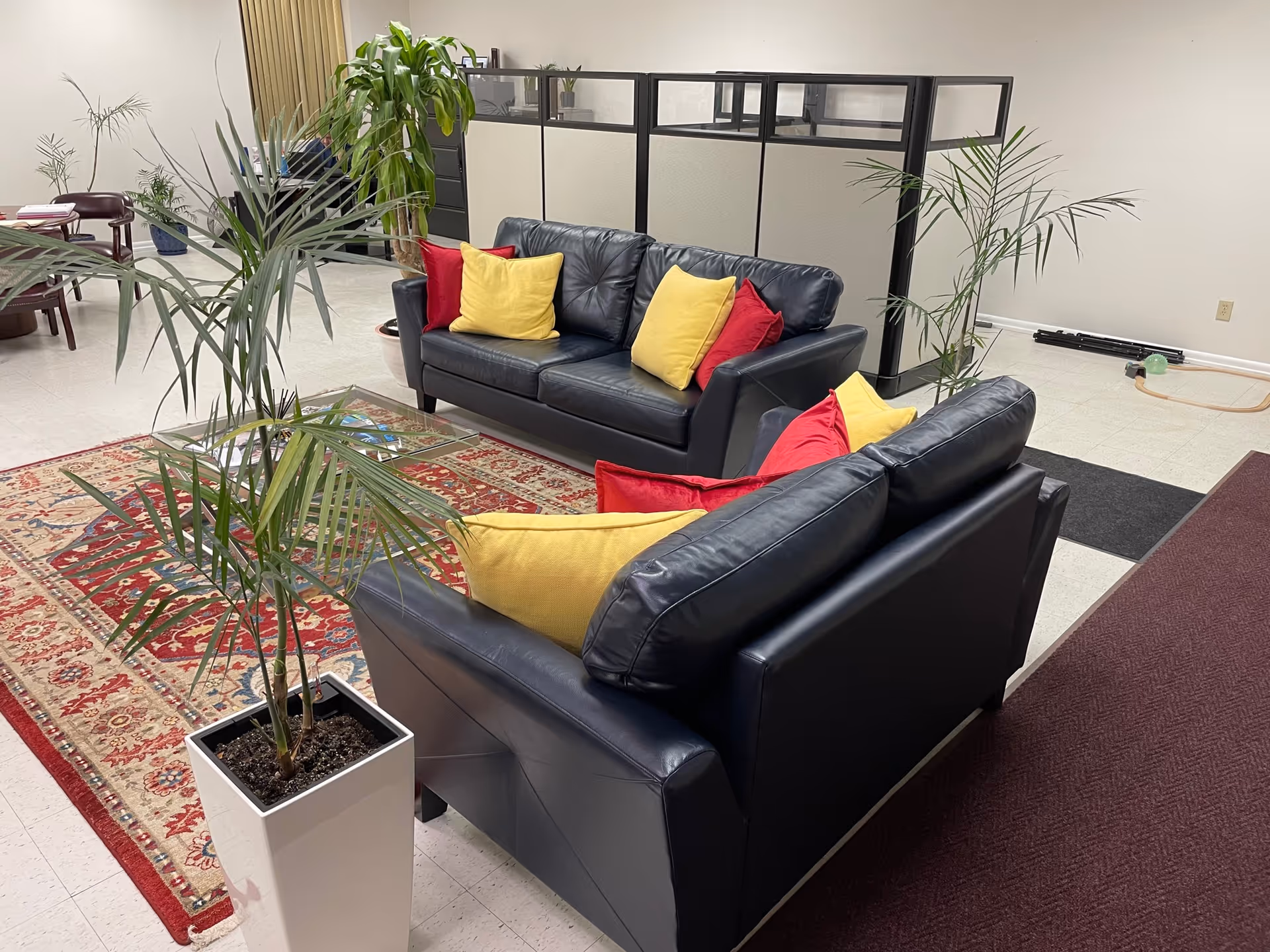 Black leather sofas with colorful pillows in a plant-filled living room lounge.