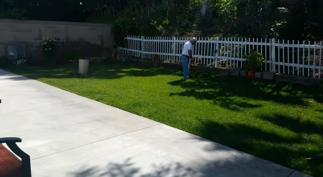 A person is sweeping a grassy backyard beside a white fence.