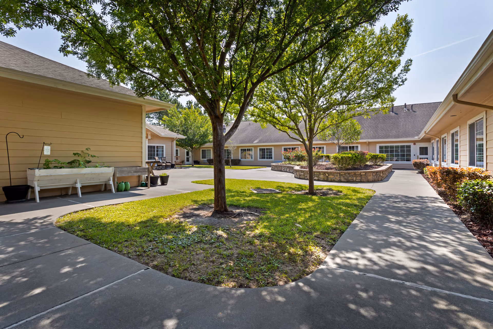 Sunlit senior living facility courtyard with trees, a circular planter, and beige surrounding buildings.