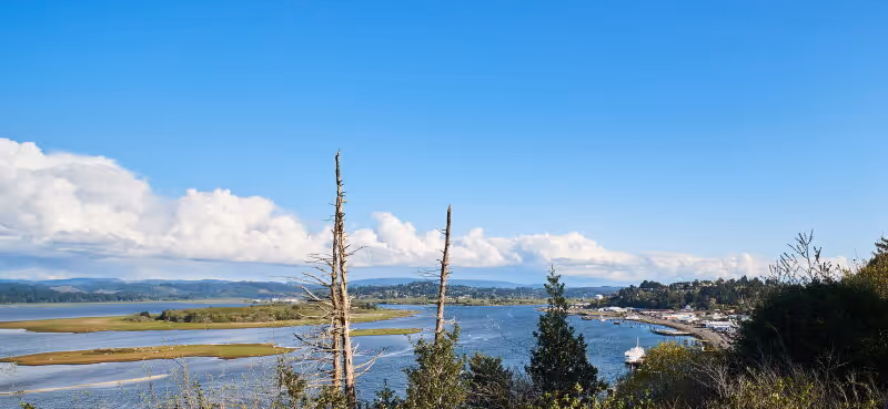 Scenic view of a river or estuary with grassy islands and a shoreline with trees and buildings under a clear blue sky with some clouds.