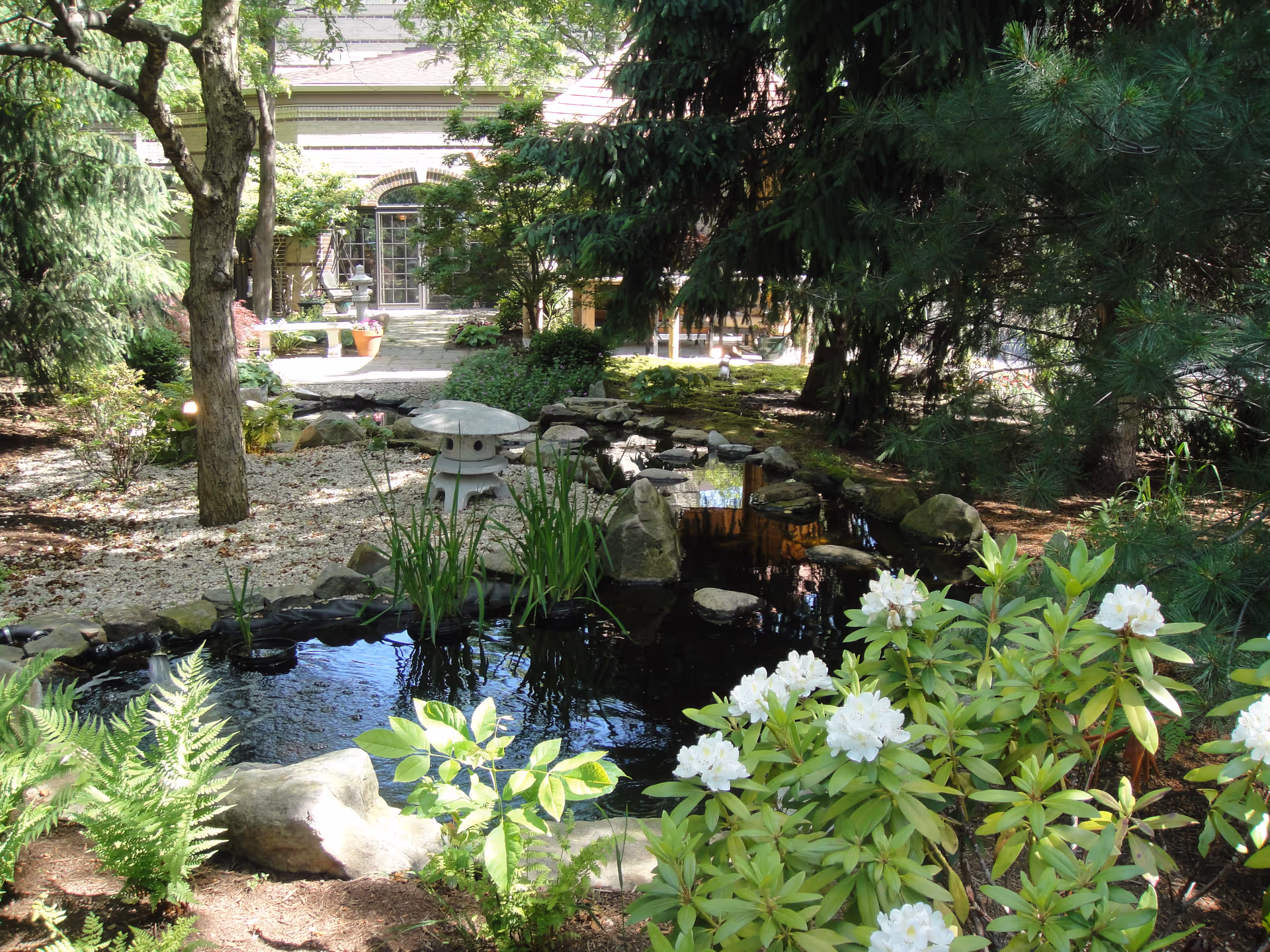 A tranquil garden featuring a pond with a stone lantern, surrounded by lush greenery and blooming white flowers.