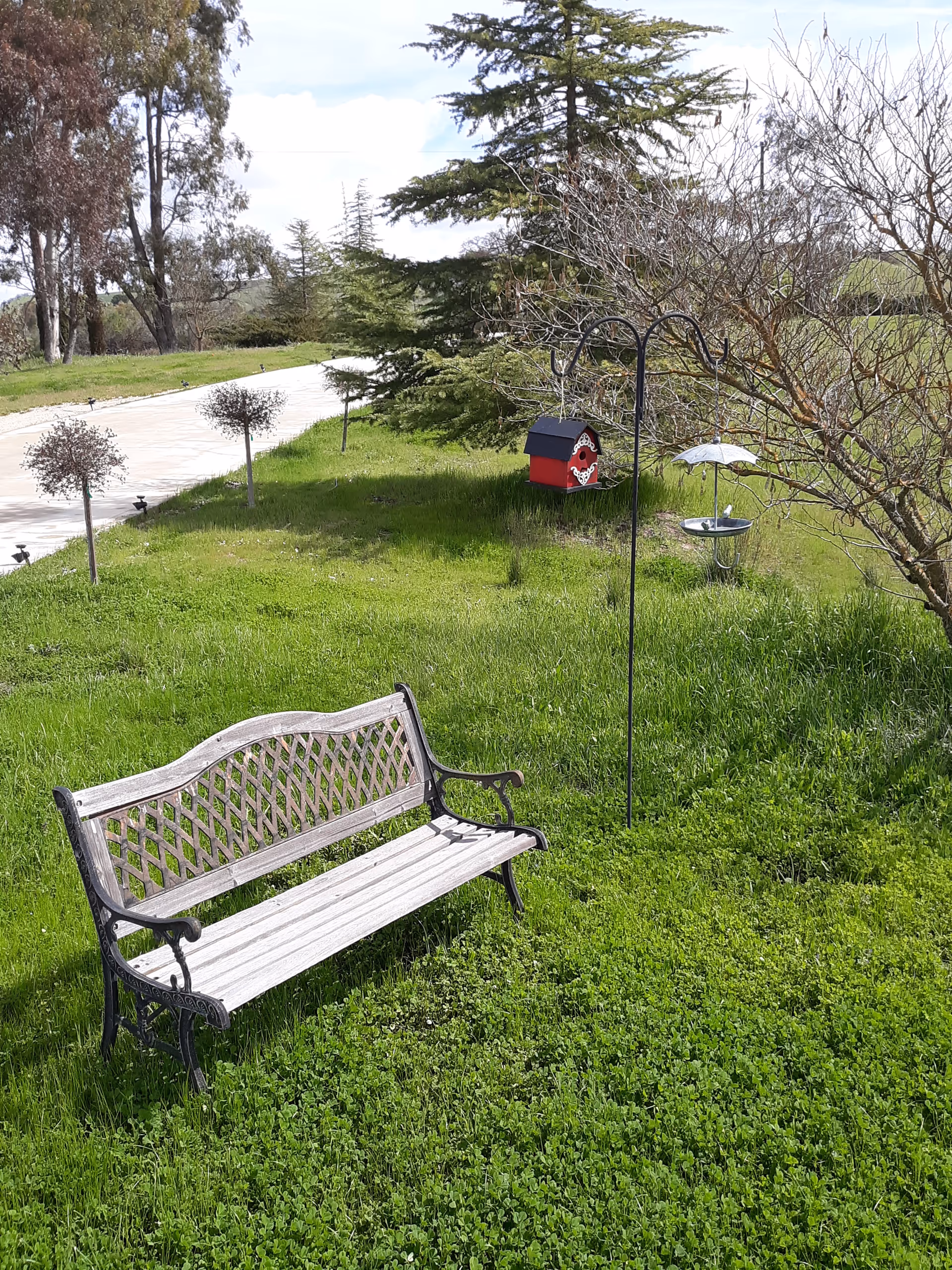 Outdoor grassy area with a wooden bench, birdhouse, and birdbath.