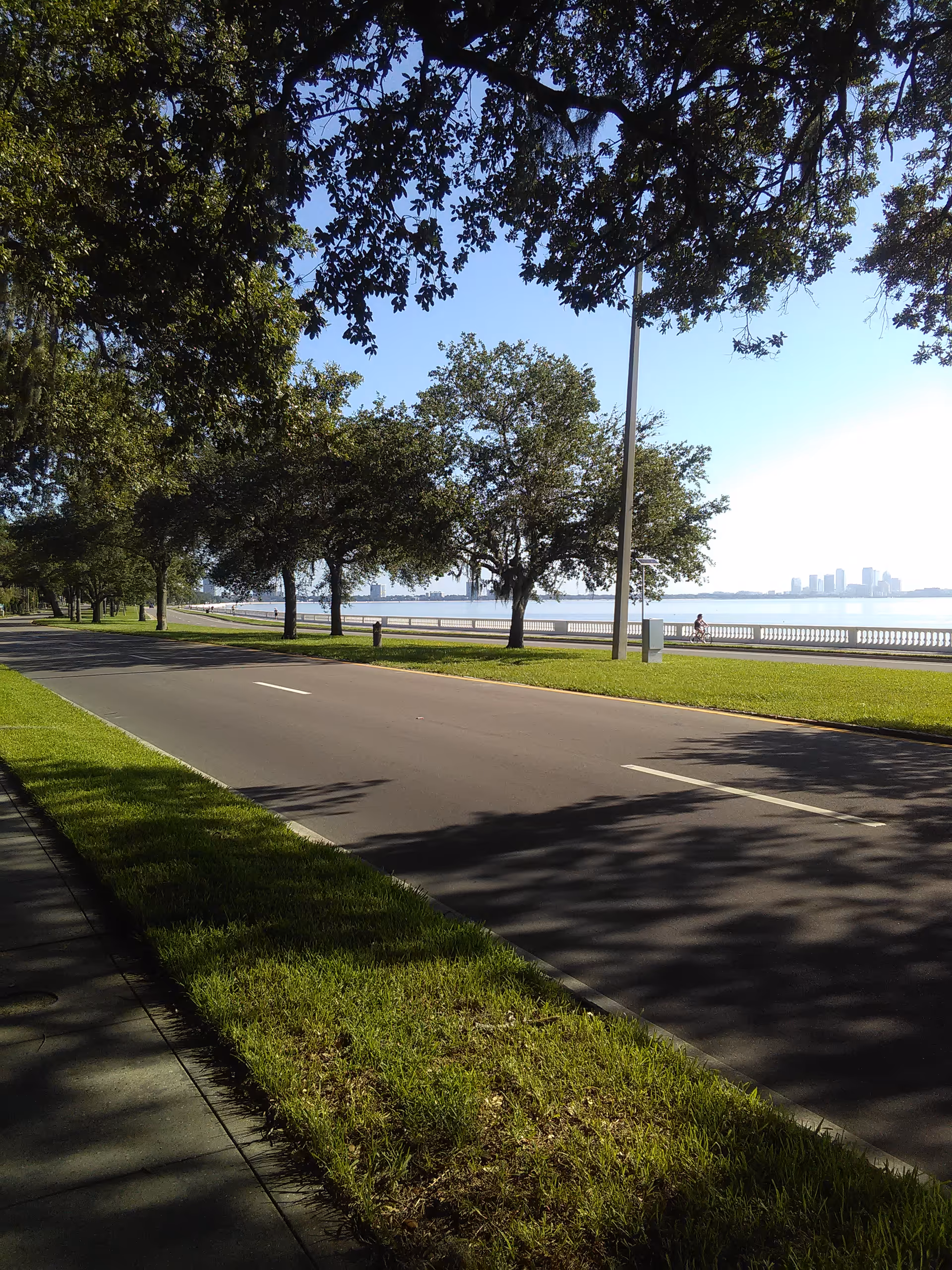 Tree-lined waterfront road with grassy verge and distant city skyline.