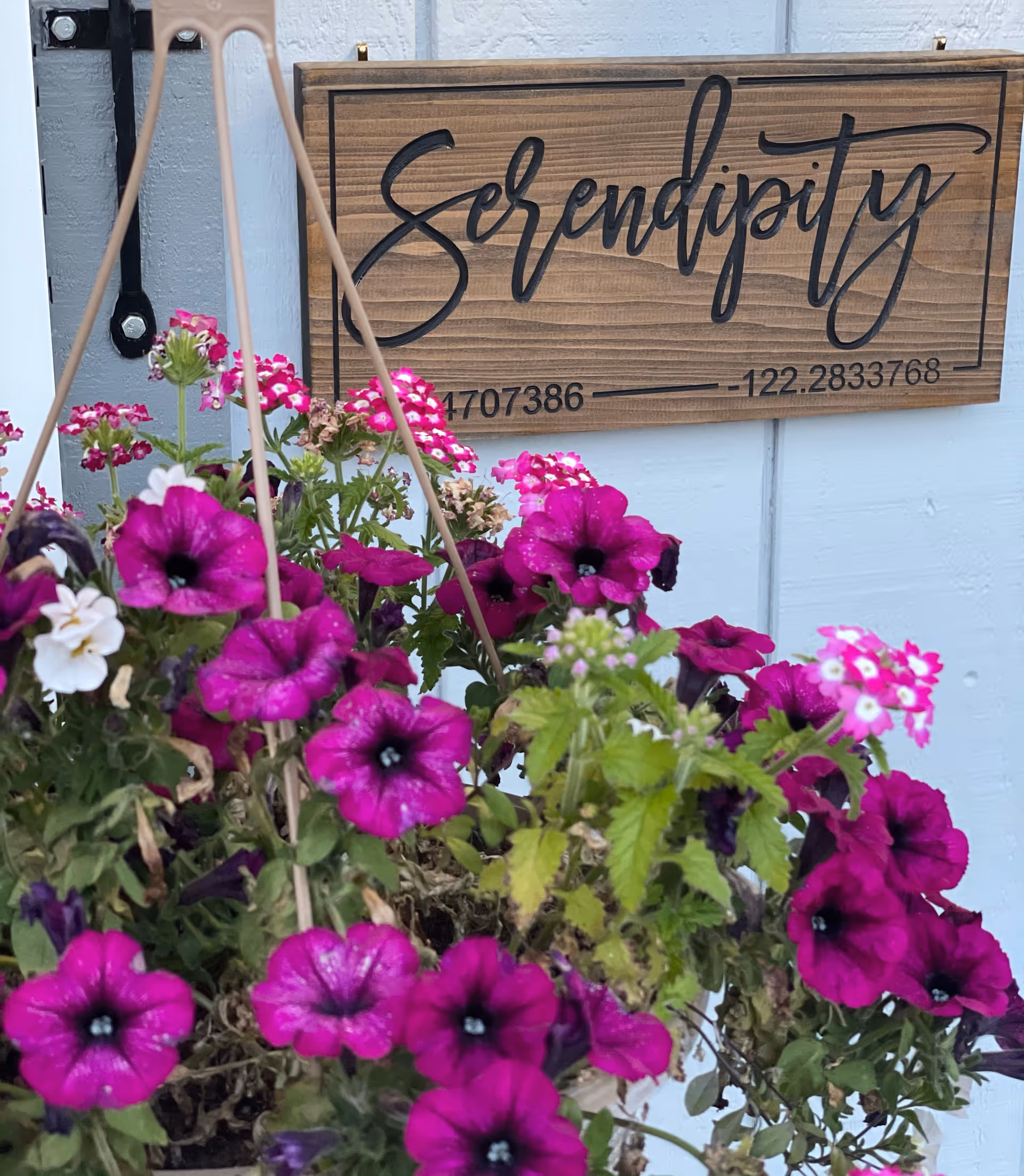 Wooden sign reading Serendipity beside vibrant hanging flower baskets on a light wall.