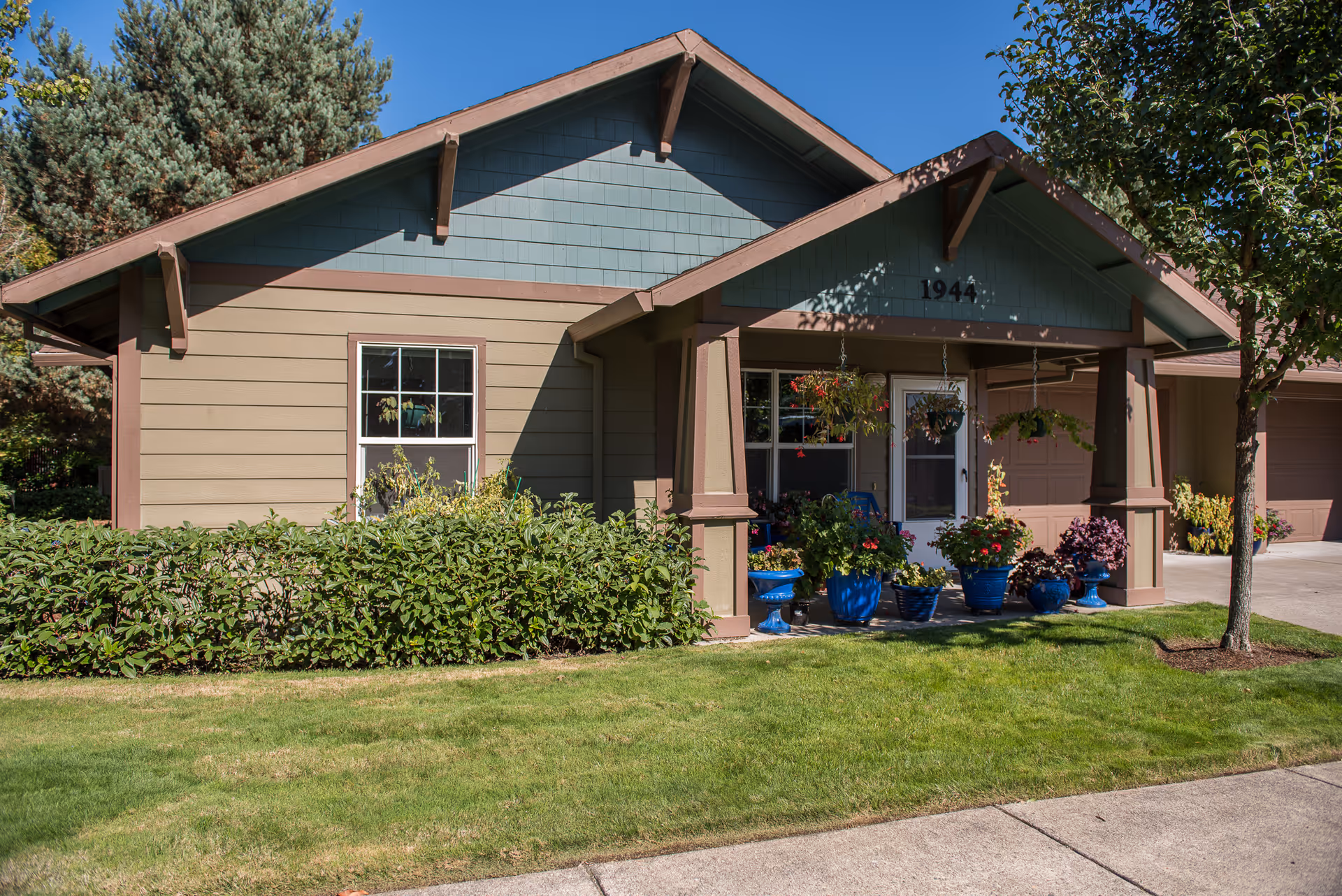A single-story building with a front porch, green siding, and numerous potted plants.