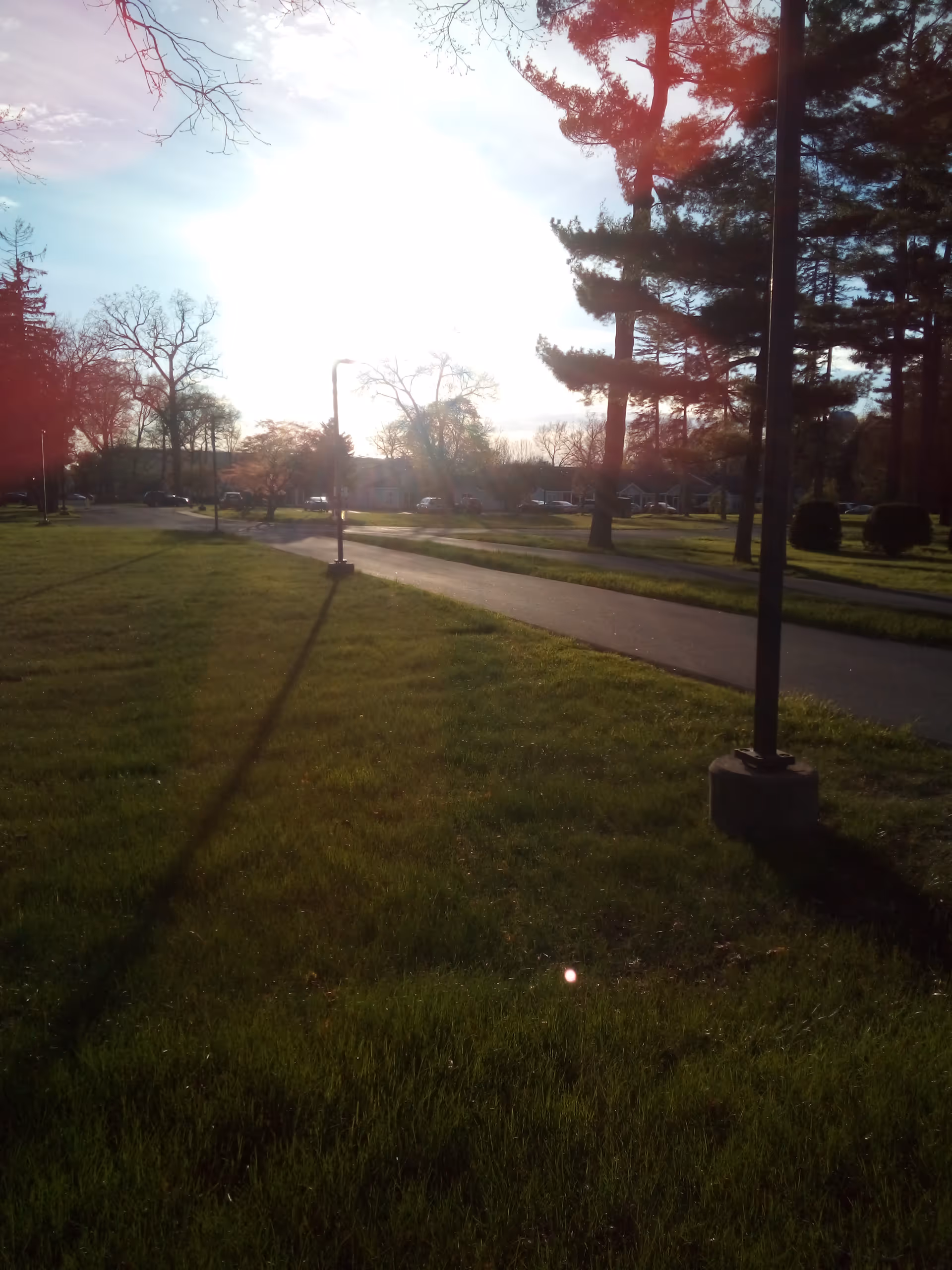 Sunlit grassy outdoor area with a path, lampposts, and tall trees.