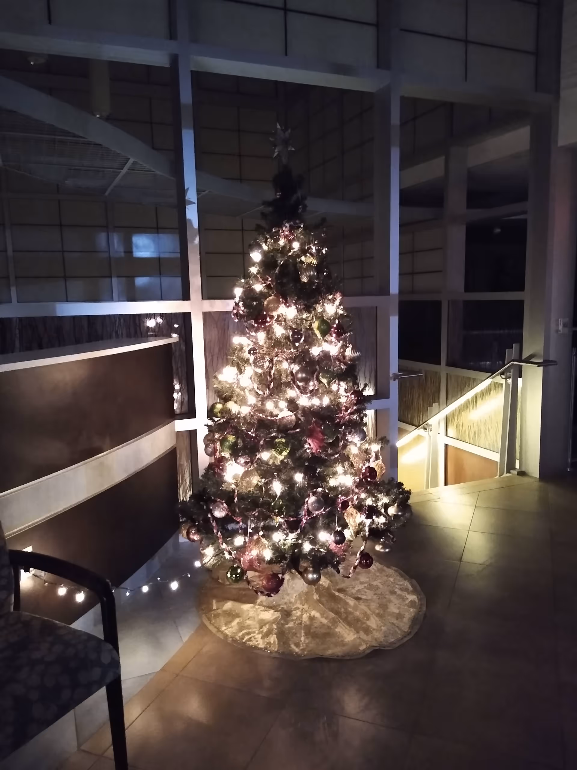 Decorated Christmas tree with lights stands in a dim indoor Oswego Health Home Care lobby.