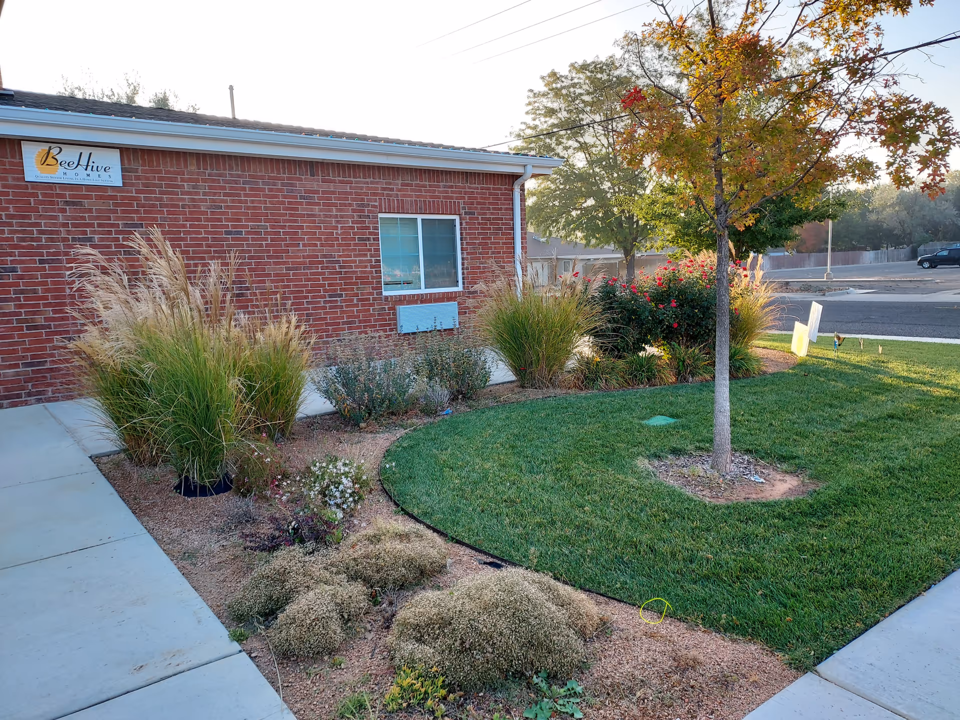 Brick building exterior of BeeHive Homes with landscaped front yard and sidewalk.