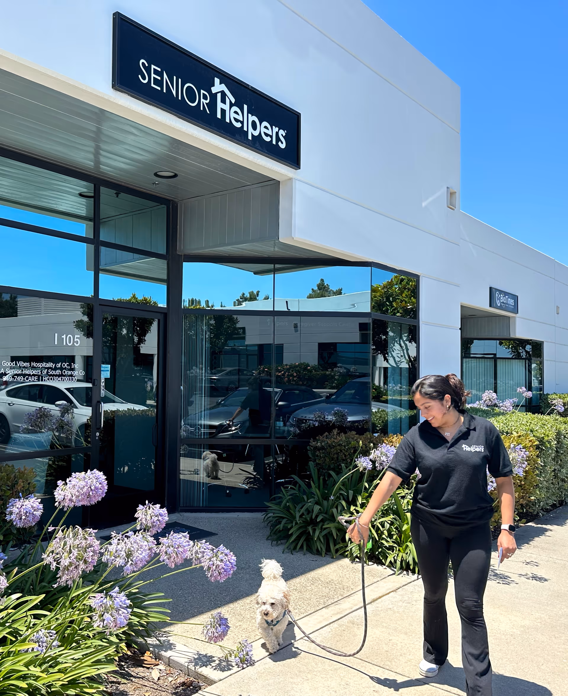 Caregiver walks a small white dog outside Senior Helpers storefront, with purple flowers nearby.