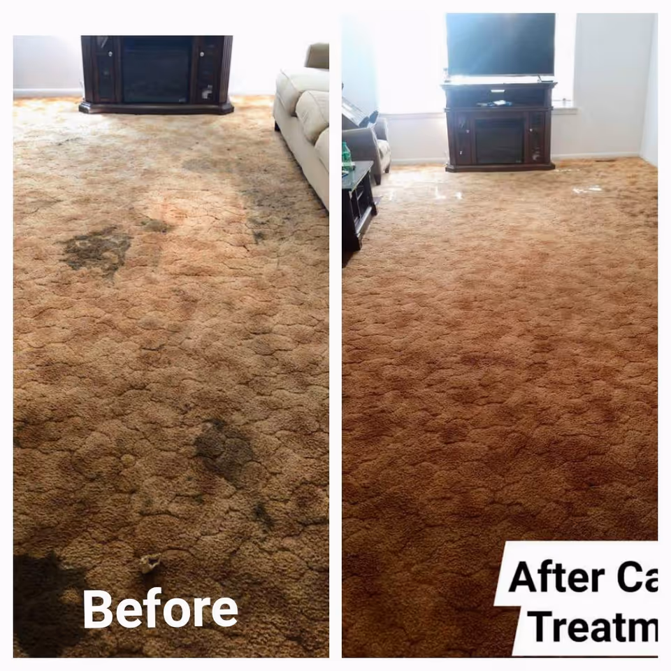 Split image shows a living room carpet before and after cleaning, with fireplace and TV stand.