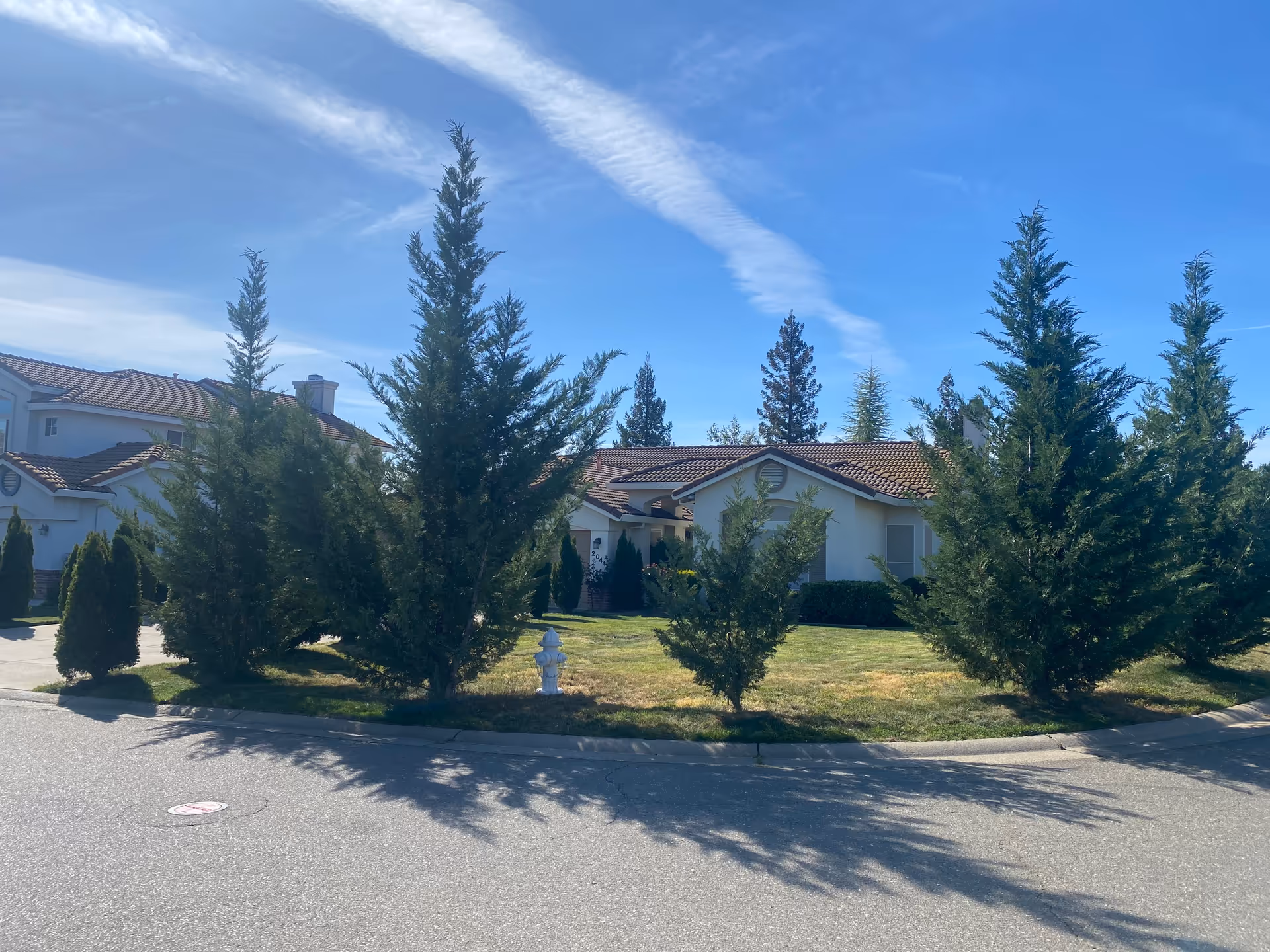 Exterior view of Elite Elder Care facility amid tall trees and a curved street.