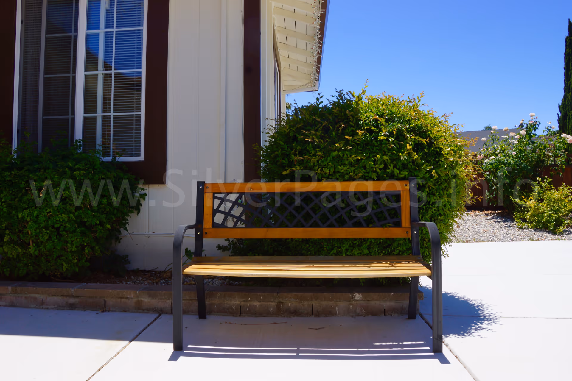Wooden bench with metal frame sits on a sidewalk beside a shrub-filled exterior wall.