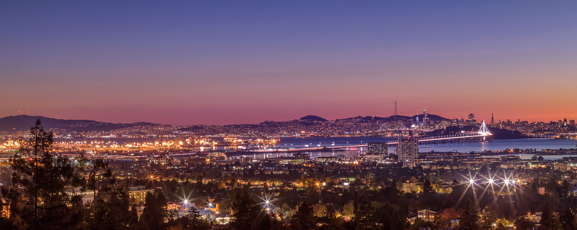 Twilight cityscape with illuminated skyline and bay, viewed from a hillside.
