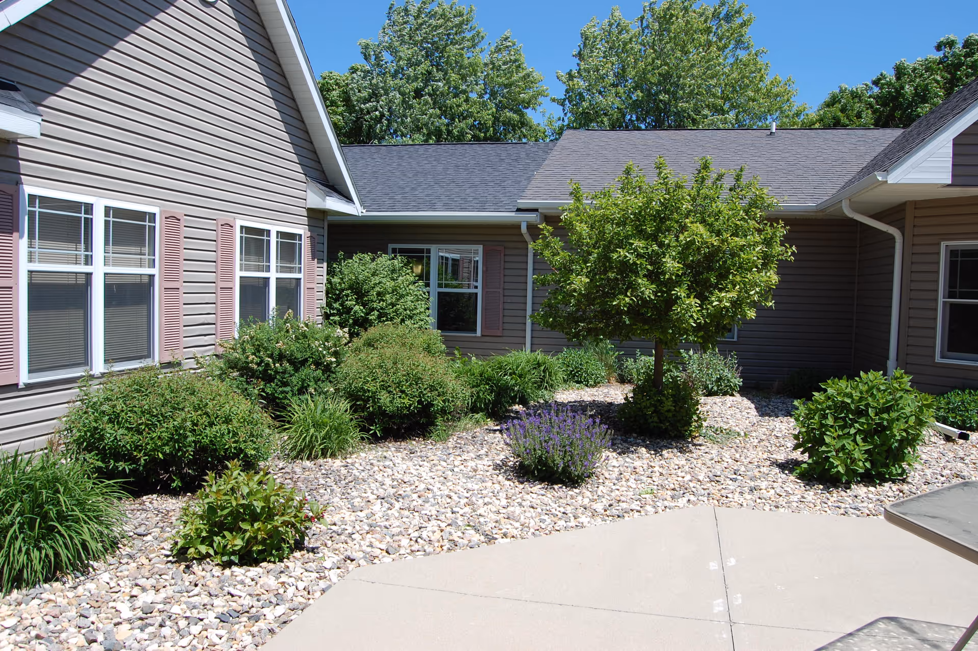 Outdoor courtyard area of StoneyBrook Suites Assisted Living featuring a landscaped garden with various green shrubs, a small tree, and purple flowering plants surrounded by a bed of rocks. The courtyard is bordered by beige siding buildings with windows and purple shutters under a clear blue sky.