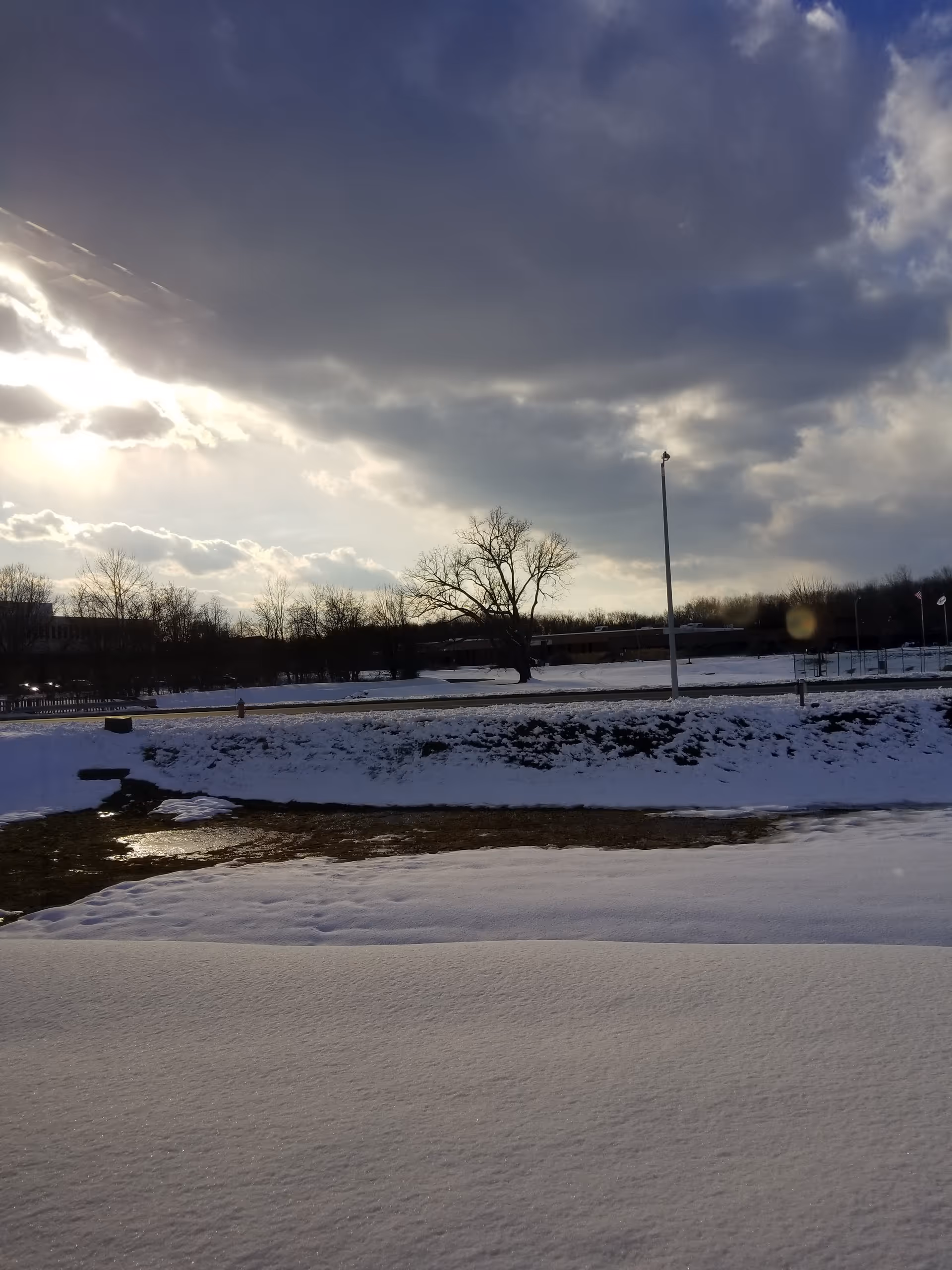 Outdoor winter landscape with snow, a road, and leafless trees under cloudy sky.