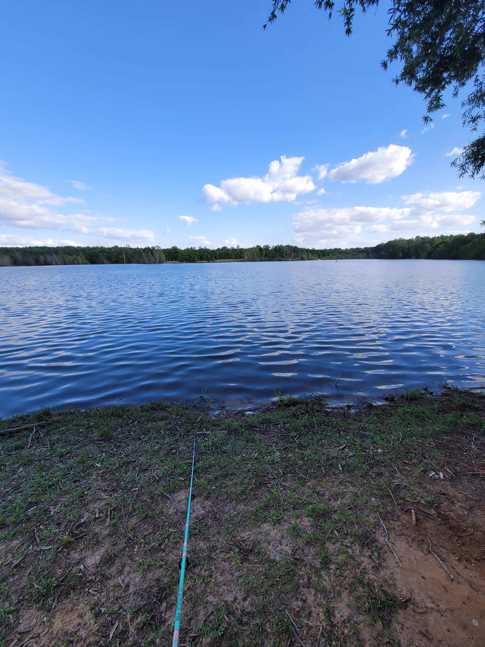 Calm lake view with blue water, distant trees, and a fishing rod on the shore.