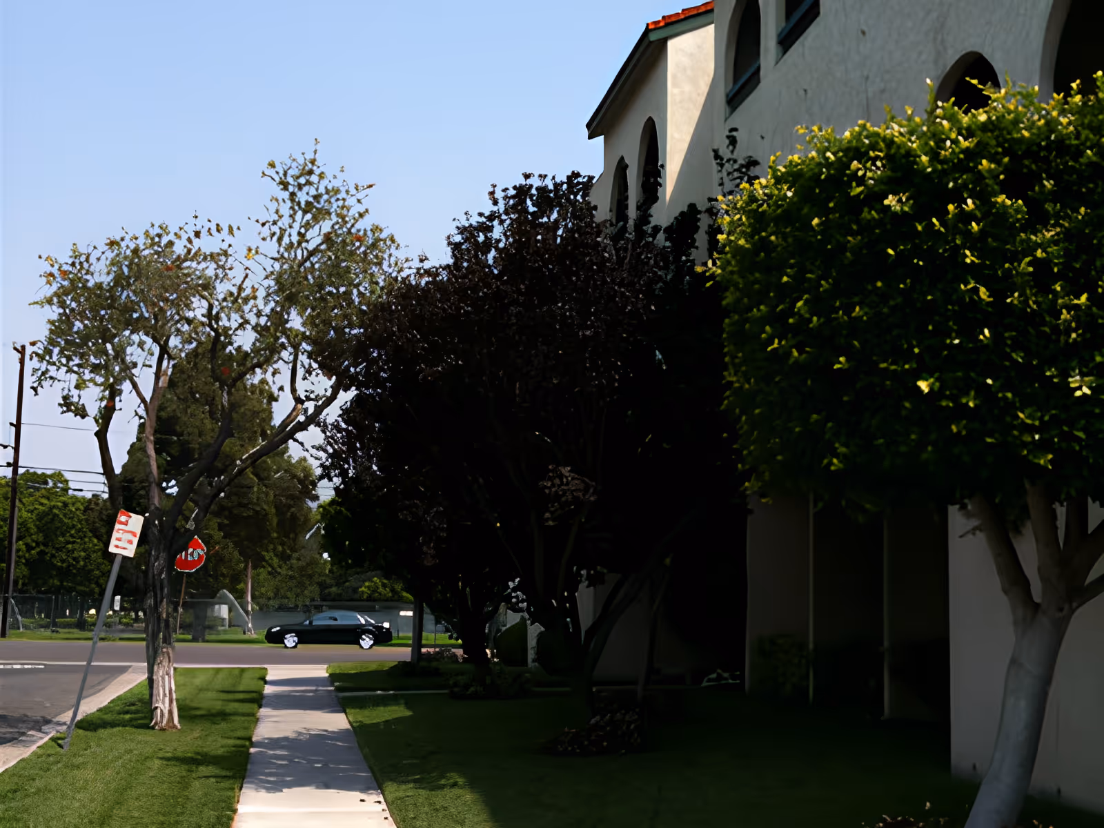 Sidewalk lined with trees and bushes next to a beige building with arched windows under a clear blue sky. A black car is parked on the street in the background near a stop sign and a no parking sign.