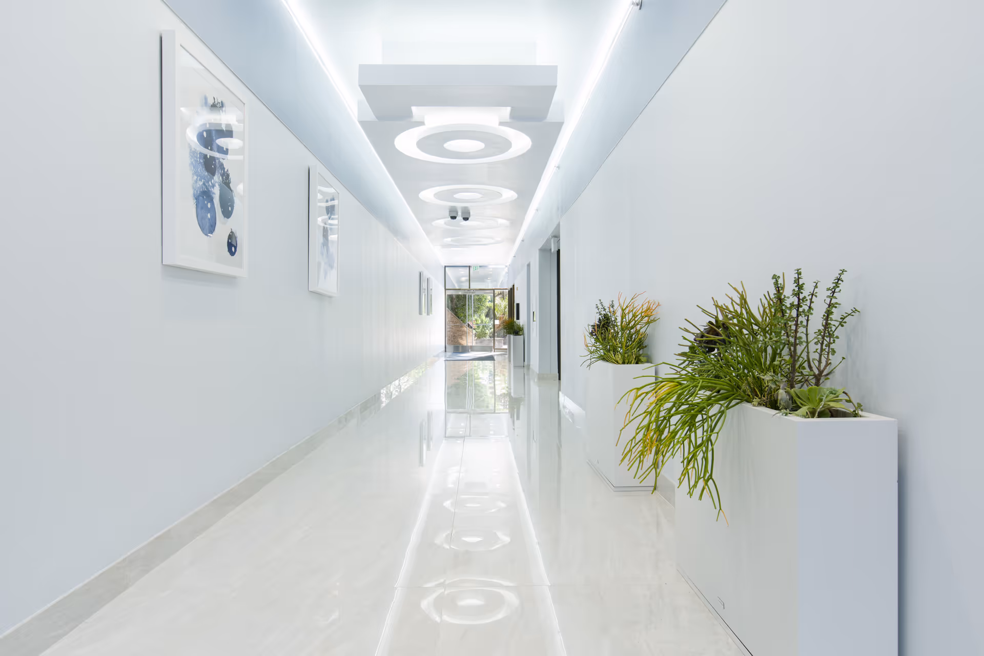 Bright, modern indoor corridor with white walls, reflective floor, circular ceiling lights, and planters.