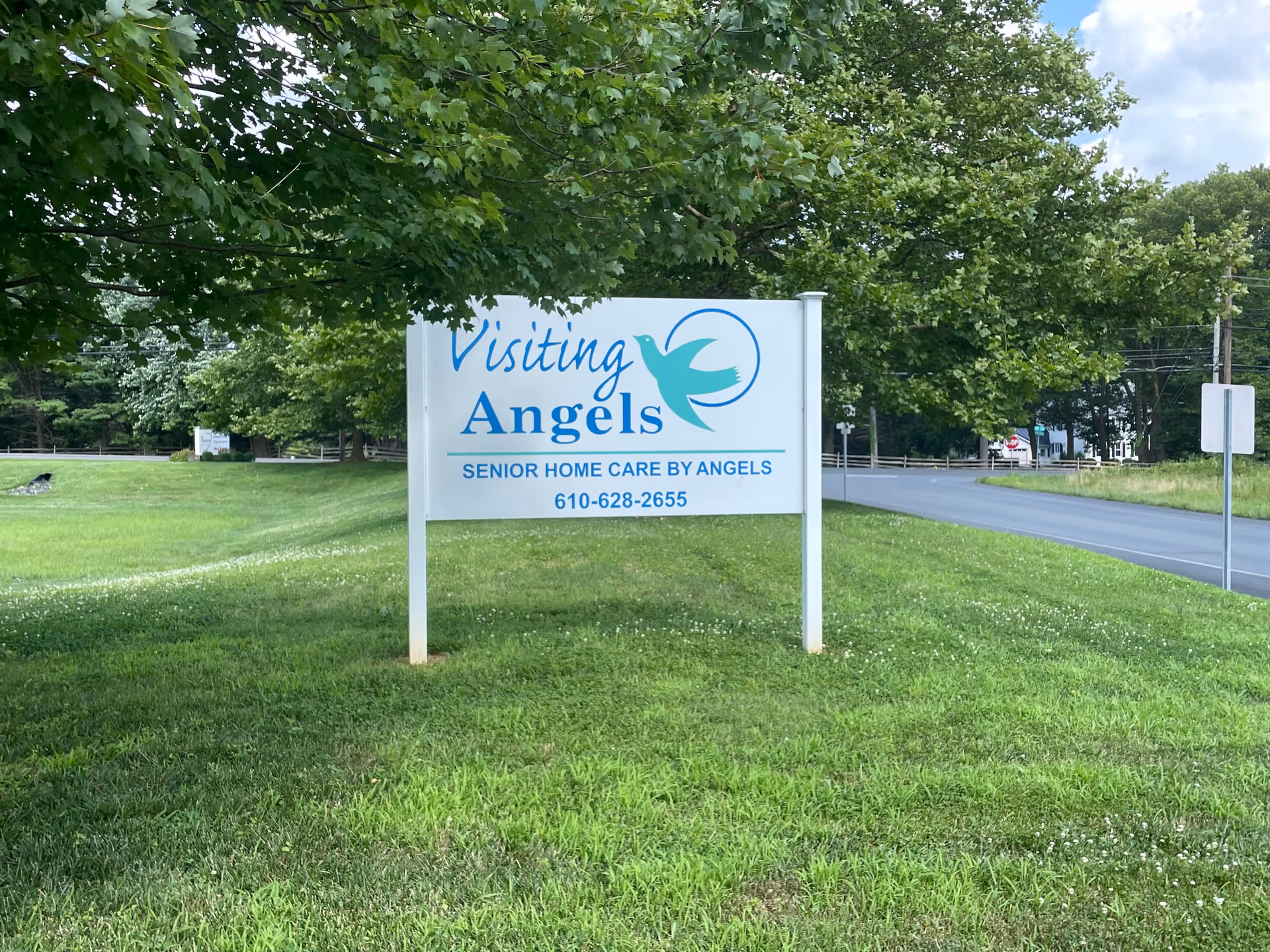 Outdoor lawn sign for Visiting Angels Senior Home Care by Angels, with trees and road behind.