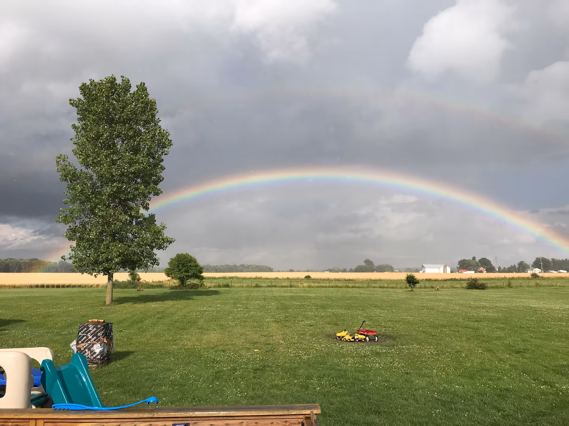 Lush green field with a tall tree, playground toys, and a rainbow across a cloudy sky.