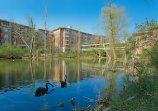 Outdoor scene with a pond, ducks, trees, and a brick senior living building in the background.