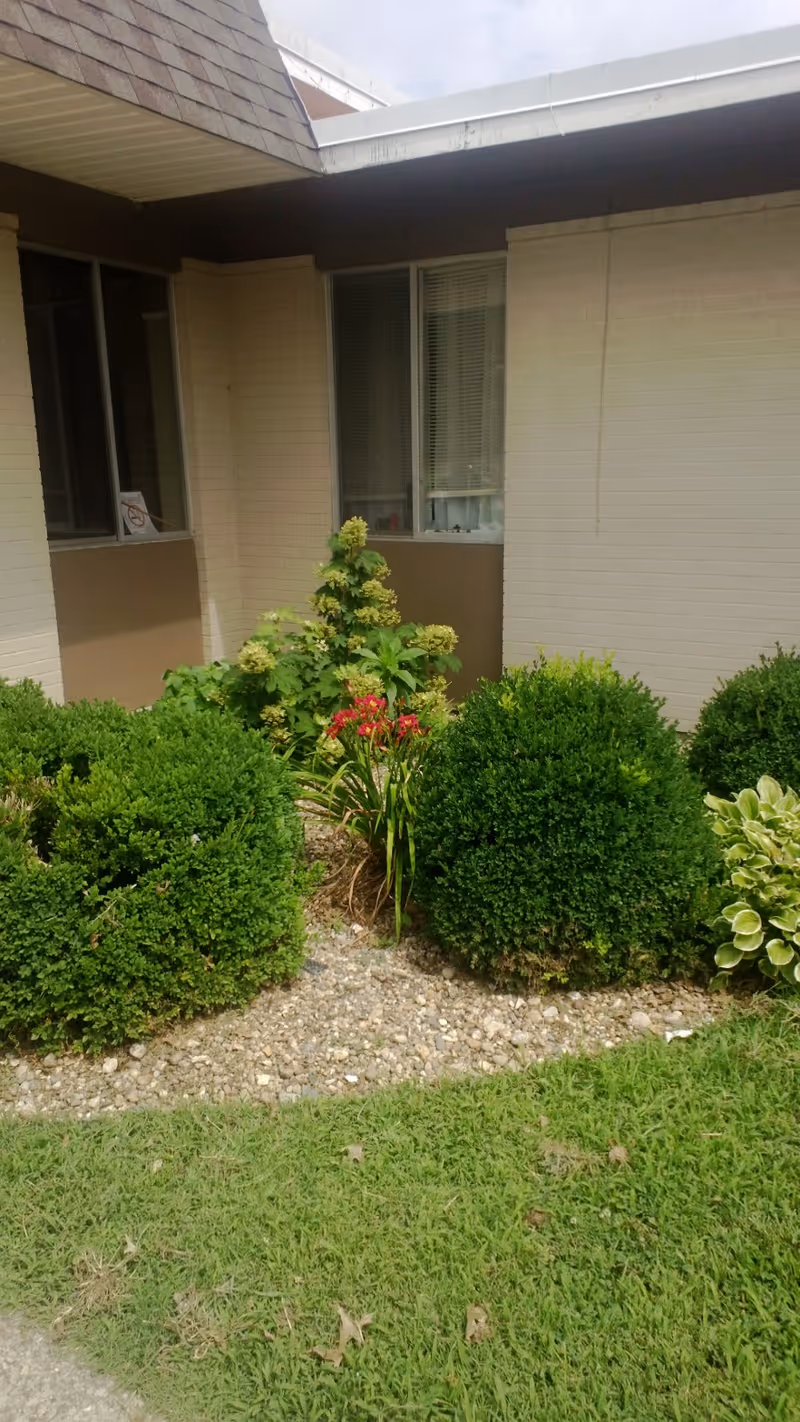 Low shrubs and flowering plants in a landscaped bed in front of a single-story building with windows and an overhanging roof.