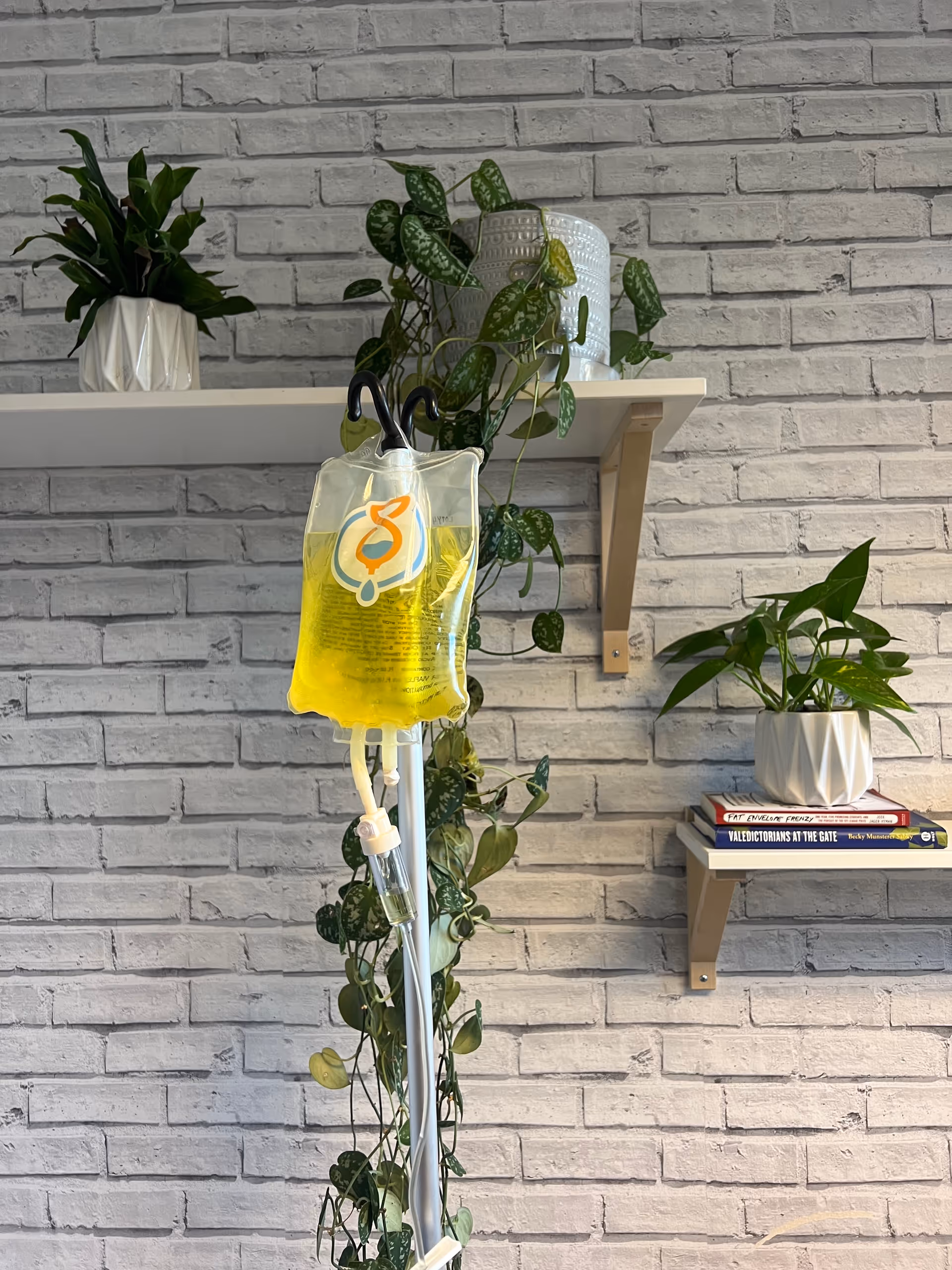 Indoor brick wall scene with hanging plants, shelves, and an IV bag on a stand.
