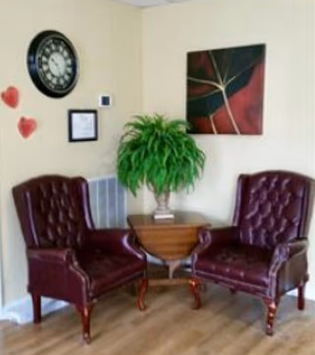 Two burgundy armchairs flank a small table with a lush green plant.