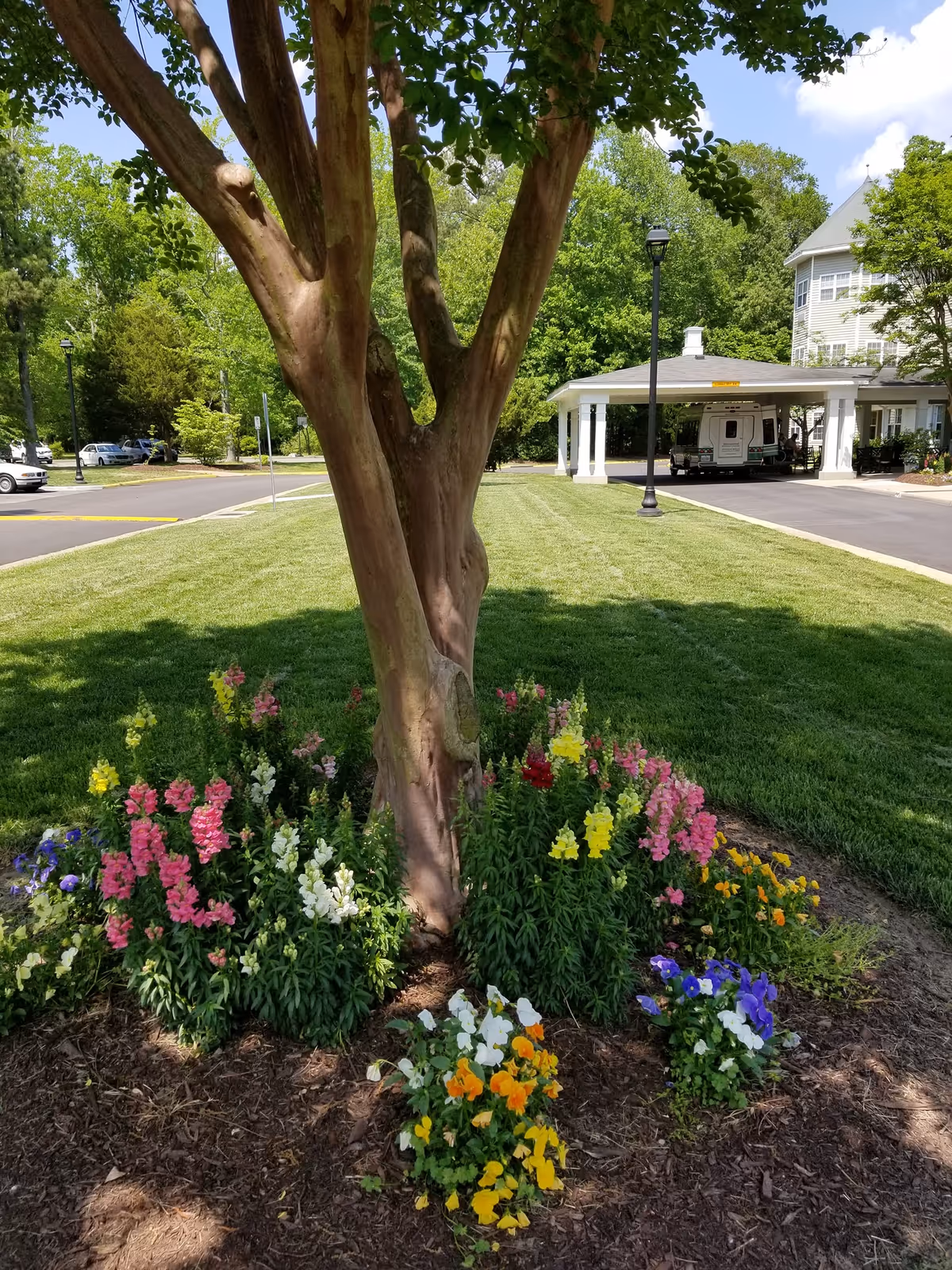 A landscaped outdoor area featuring a tree surrounded by colorful flowers including pink, white, yellow, red, orange, and purple blooms. In the background, there is a well-maintained lawn, a paved driveway, a covered entrance with white pillars, and a multi-story building partially visible behind trees.