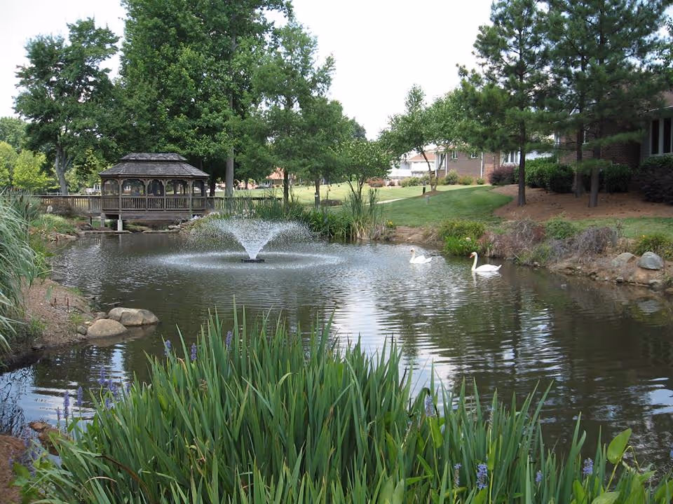 A peaceful outdoor scene at Twin Lakes Community featuring a pond with a water fountain in the center, two white swans swimming, lush green plants and trees surrounding the pond, and a wooden gazebo on the left side near the water.