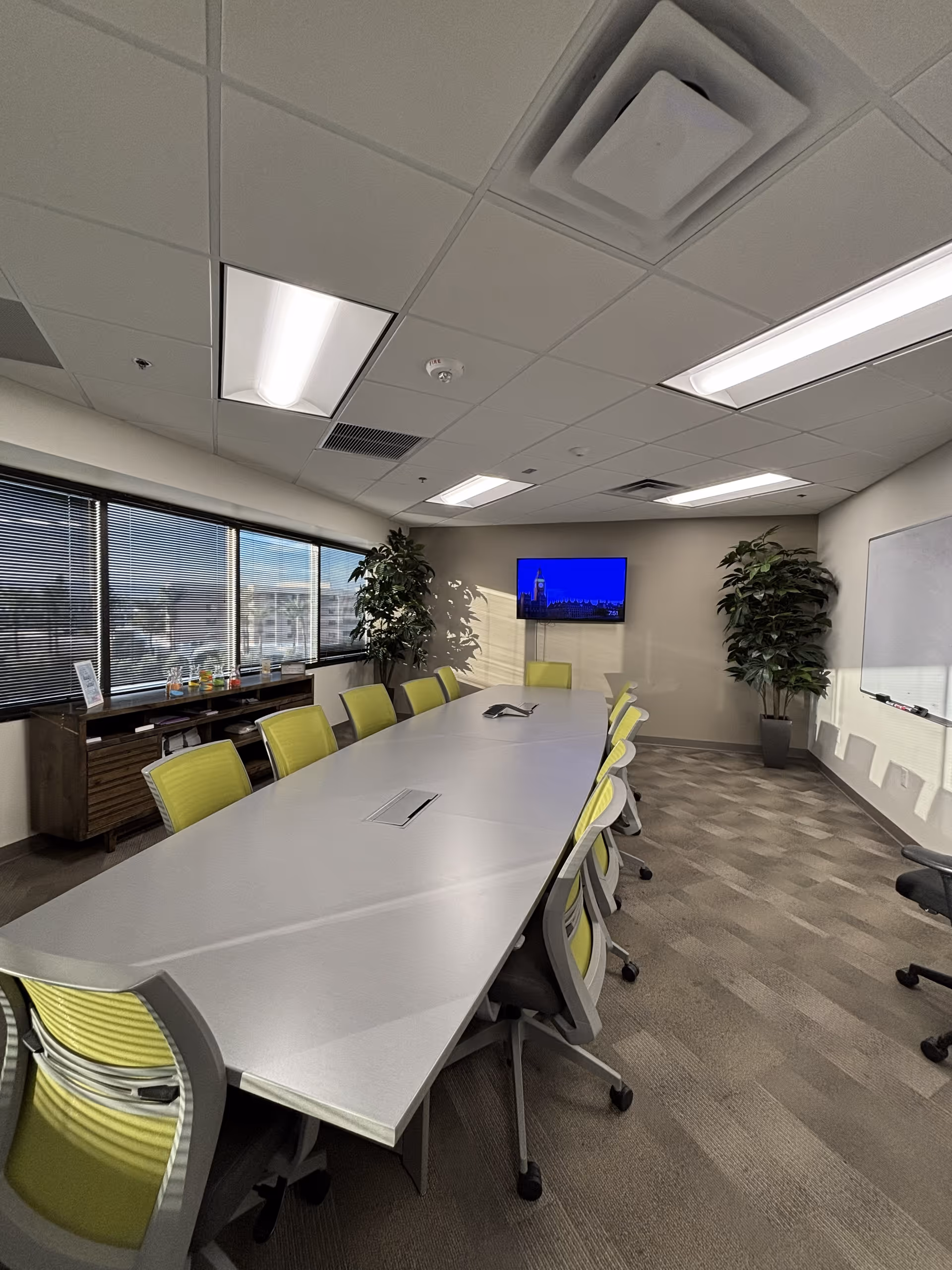 Bright conference room with a long table, lime chairs, plants, and a wall-mounted monitor.