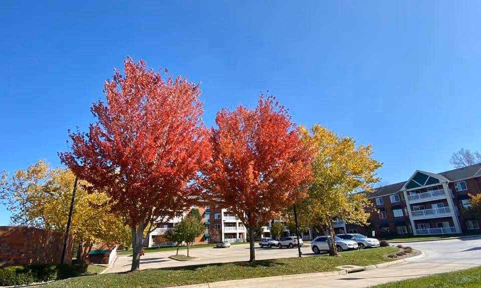 Outdoor view of The Arbordale senior living facility with a clear blue sky, several trees with autumn foliage in red, orange, and yellow colors, a parking area with several cars, and a multi-story brick building with balconies in the background.