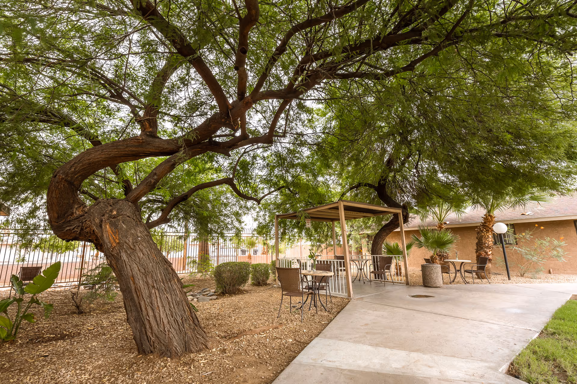 Outdoor patio area with large trees providing shade over several small tables and chairs. The ground is covered with mulch and there is a concrete walkway leading through the space. A building with a brown exterior and a lamp post are visible in the background.