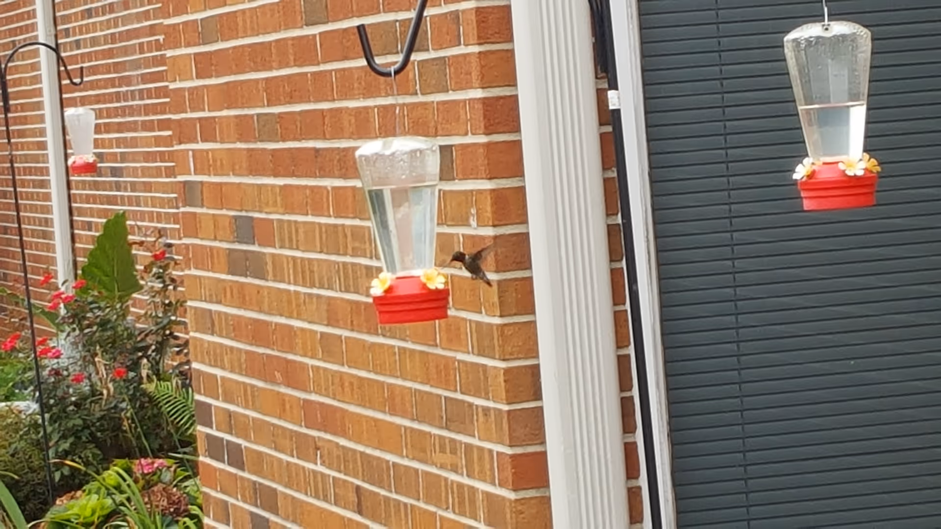 Brick exterior wall with hanging bird feeders and blooming plants by the residence.