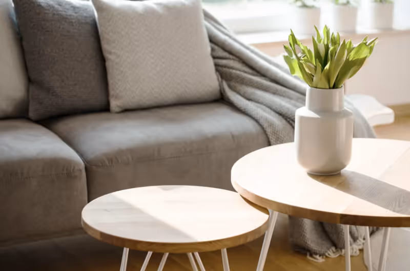 Sunlit living room with a gray sofa, throw pillows and blanket, and two round wooden coffee tables topped with a white vase of green tulips.