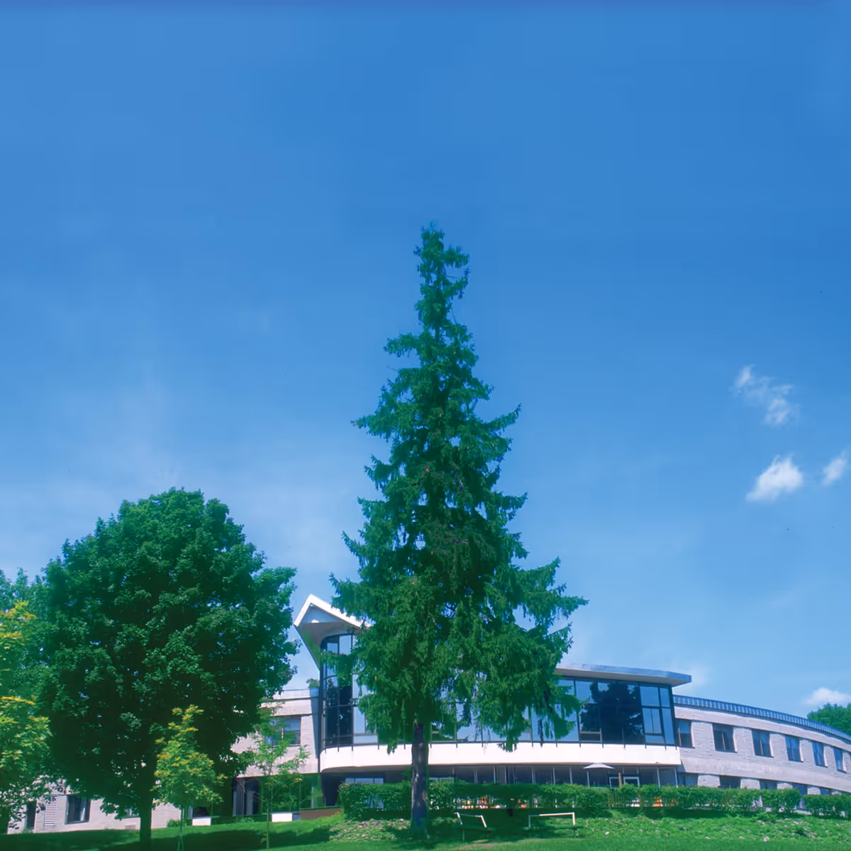 A modern, curved building with large windows surrounded by green trees and a well-maintained lawn under a clear blue sky.
