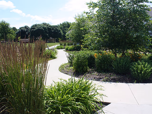 Sunny outdoor courtyard with curved sidewalk, lush plants, and trees surrounding a walkway.