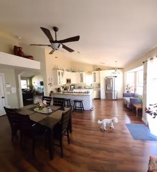 A spacious open-concept interior featuring a dining area with a dark wooden table and six chairs, a kitchen with white cabinets, stainless steel appliances, and a breakfast bar with stools. A small white dog is standing on the wooden floor near a seating area with a couch by large windows letting in natural light. A ceiling fan is mounted above the dining area.
