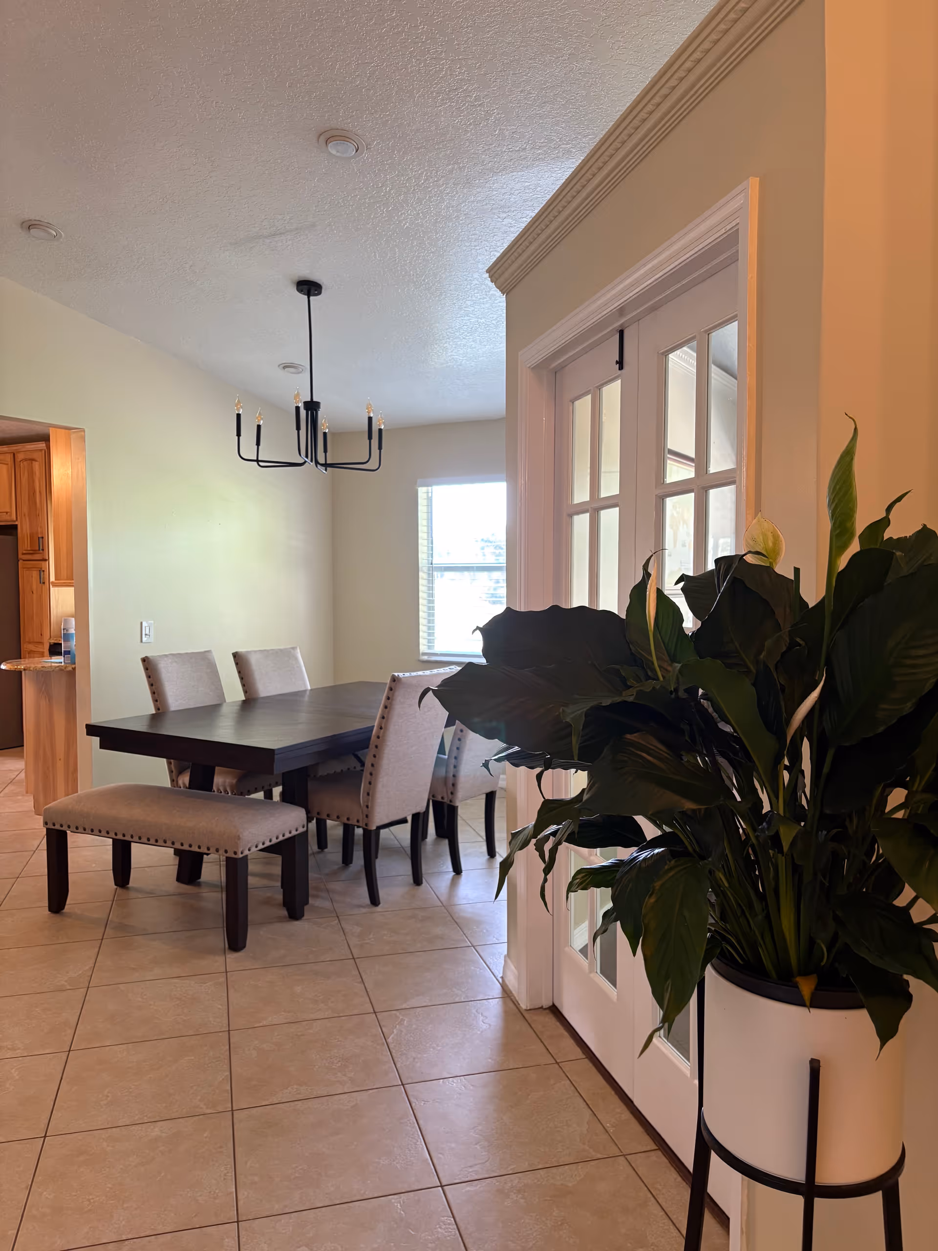 Dining room with dark table, upholstered chairs, chandelier, and large plant by glass doors.