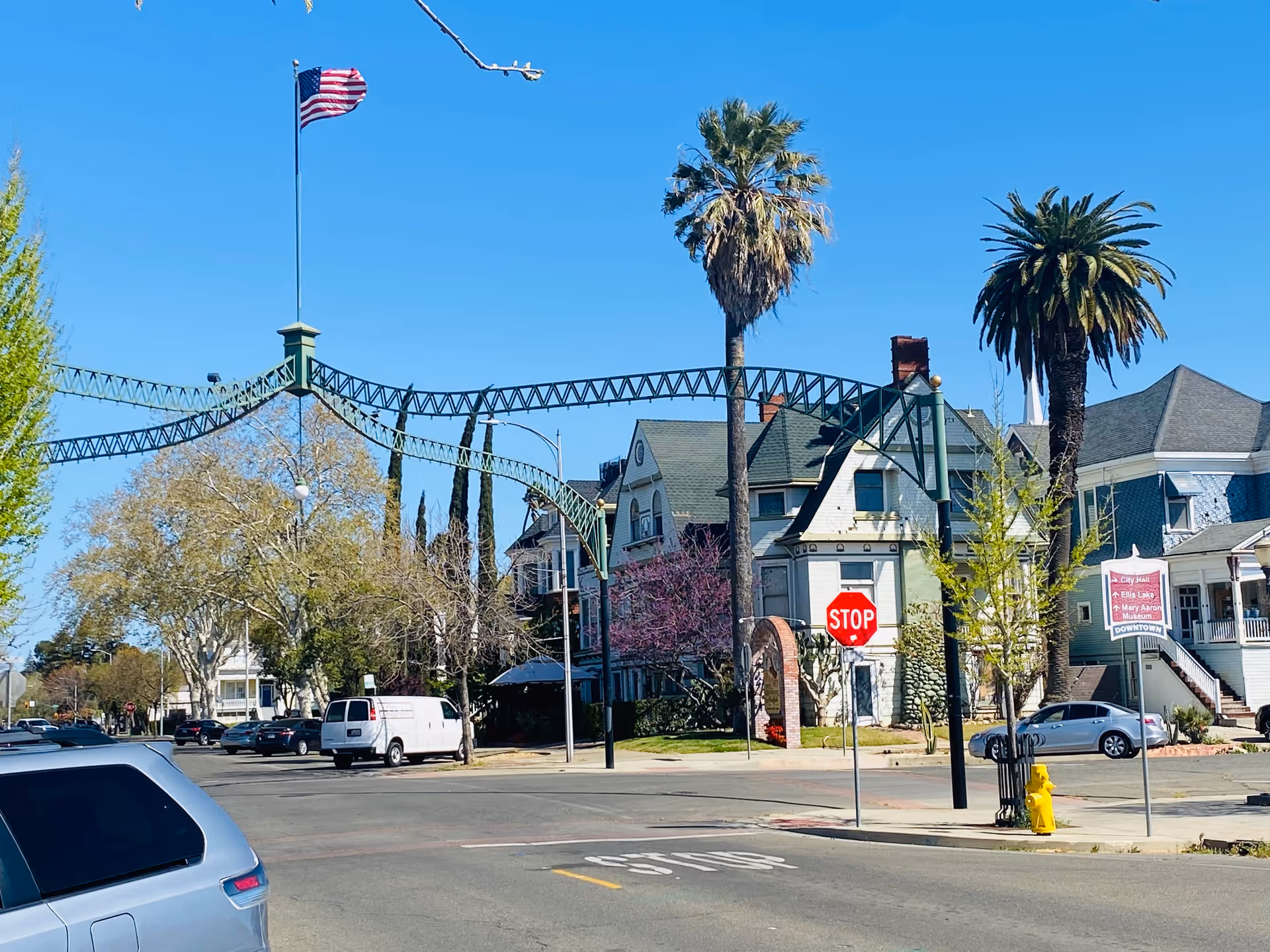 Sunny street view with palm trees, houses, cars, and a stop sign.