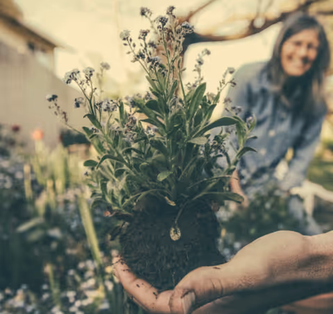 Close-up of hands holding a small flowering plant with its root ball in a garden while a person smiles blurred in the background.