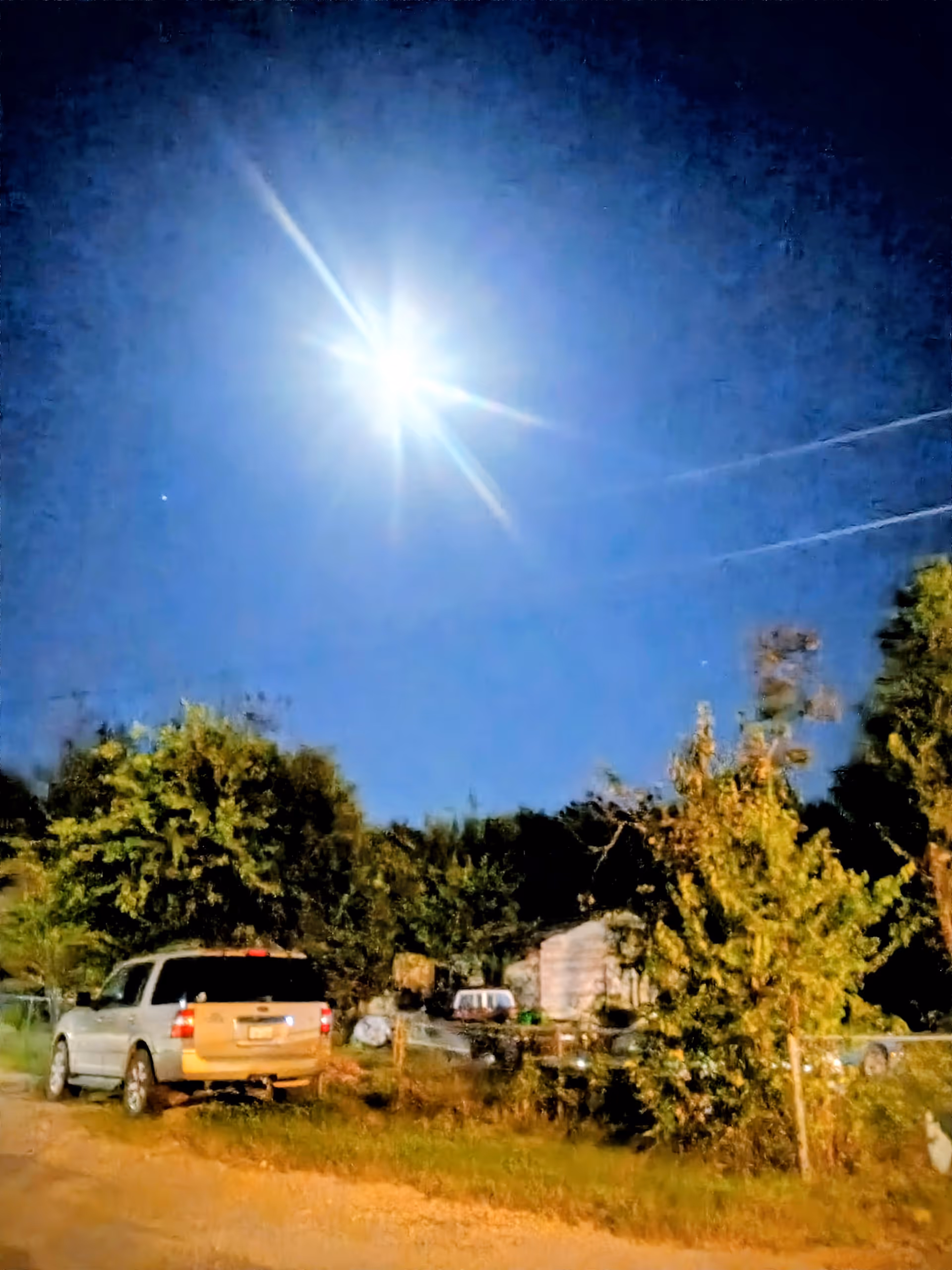 Sunny outdoor scene with trees, vehicles, and a dirt road.
