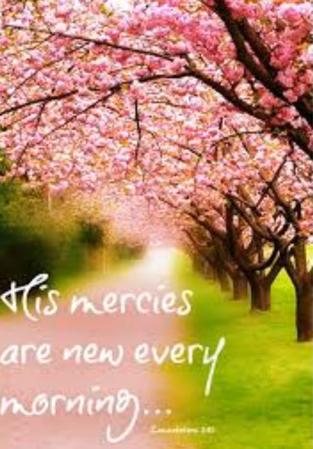 A sunlit path lined with pink blossoming trees and green grass, with white script text.