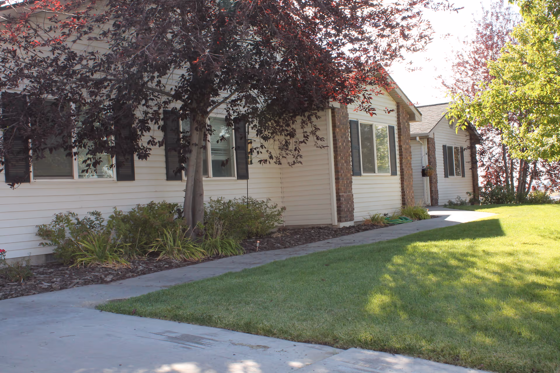Front exterior of a single-story senior living building with a sidewalk, lawn, and trees.