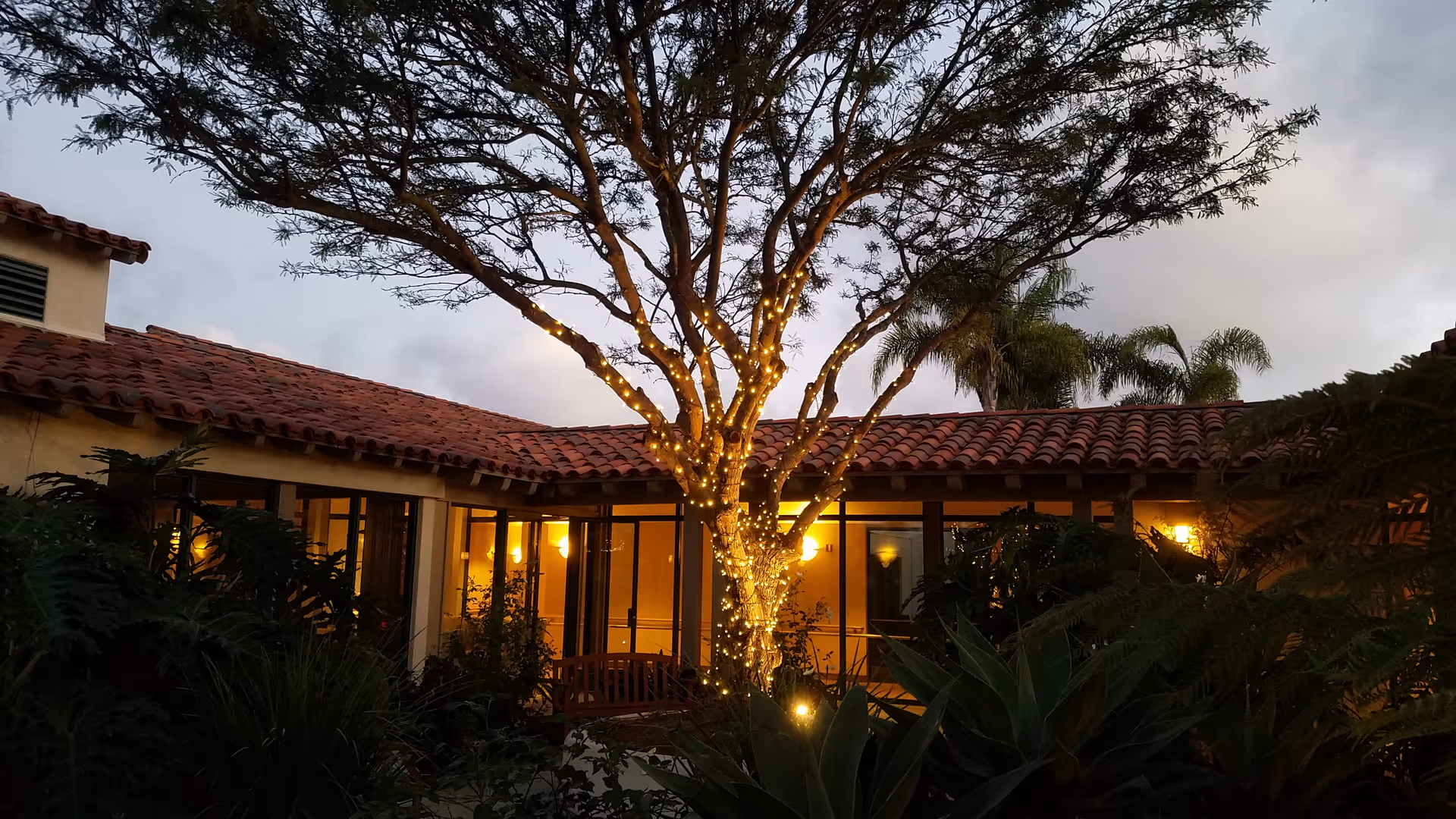Exterior view of a senior living facility courtyard with string-lit tree and warm lights.