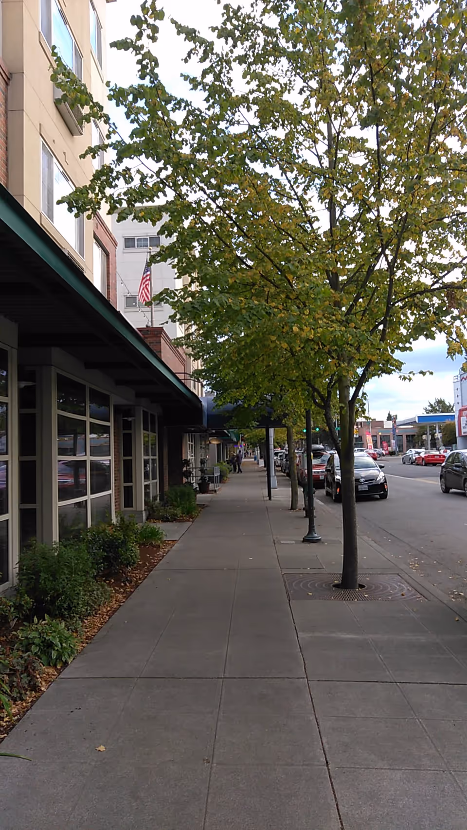 Tree-lined sidewalk with storefronts and a busy city street.