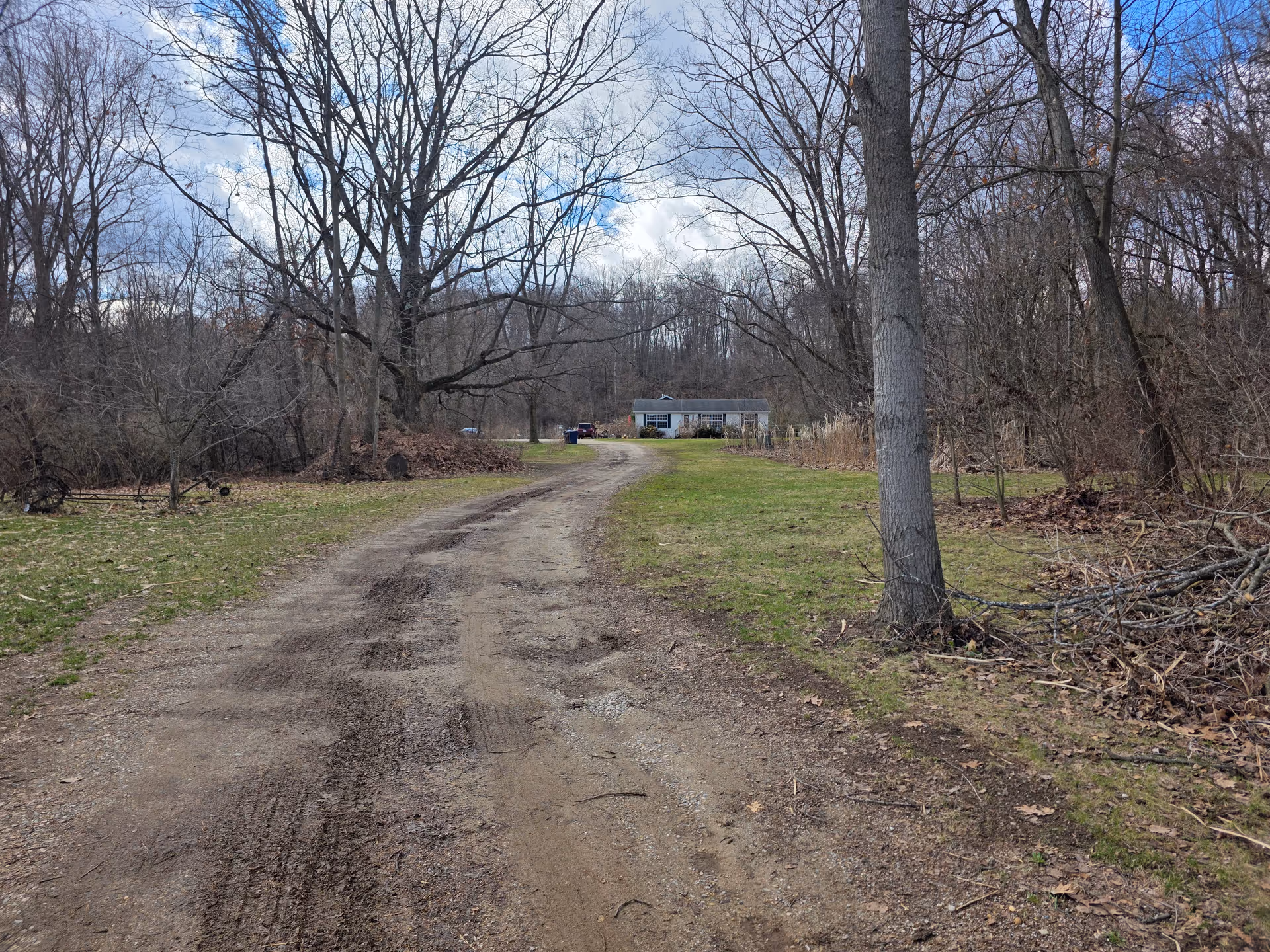 Dirt driveway winds through leafless trees toward the Stay Home Companions building in the distance.